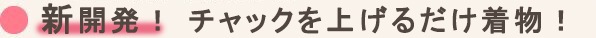 女の子 ファスナー着物